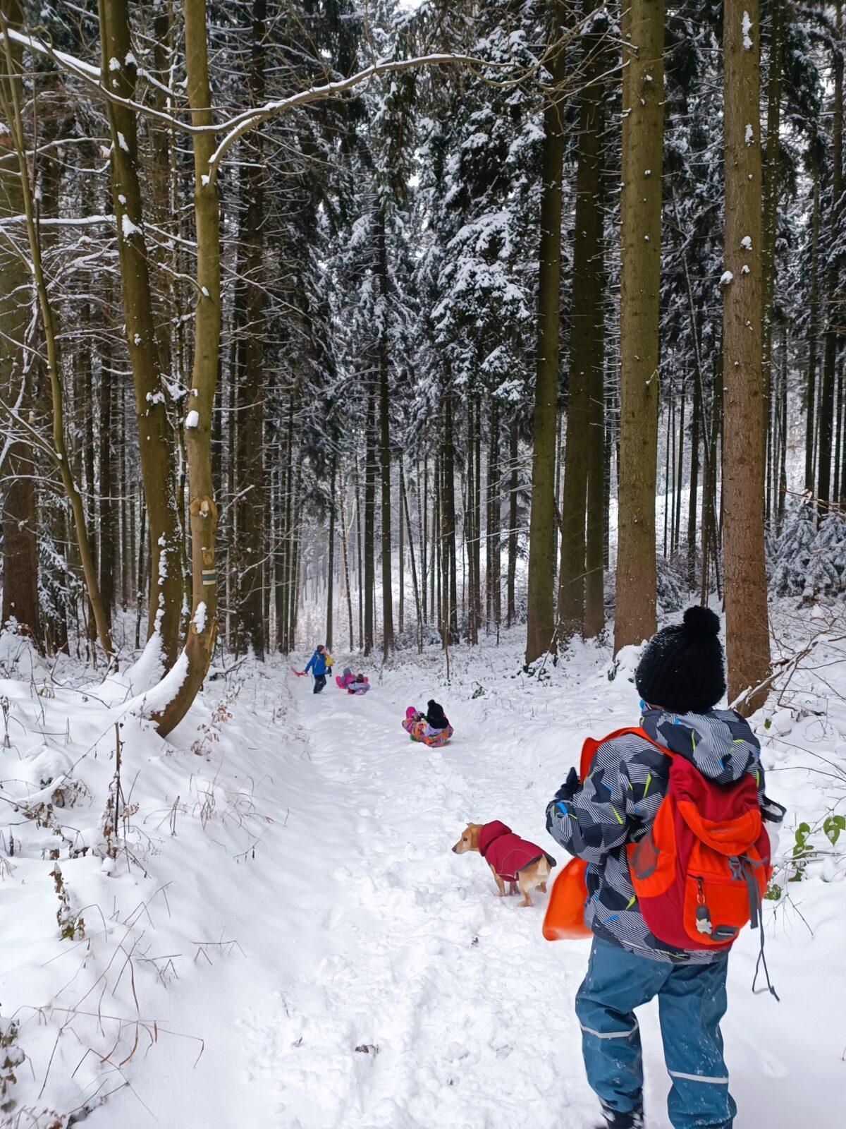 TLAPKY - Andrlův Chlum - 51