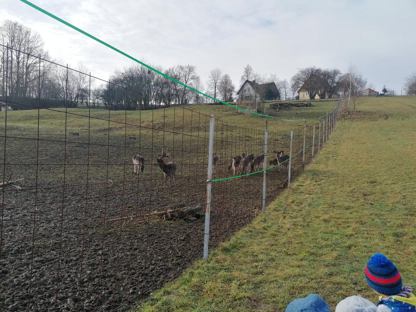 Broučci, vycházky za zvířátky :-) - 1