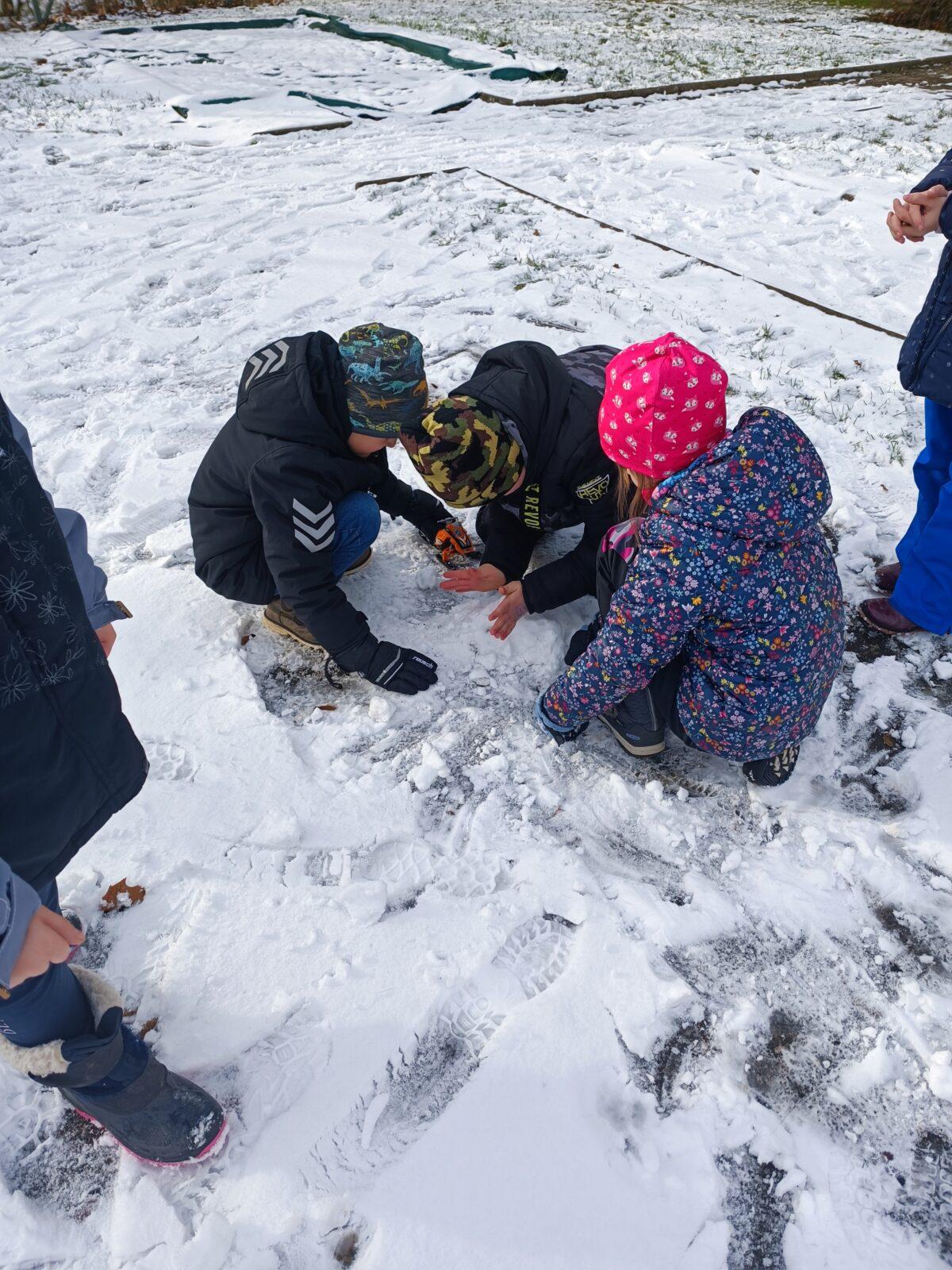 Leden - Únor - 2. oddělení - 33