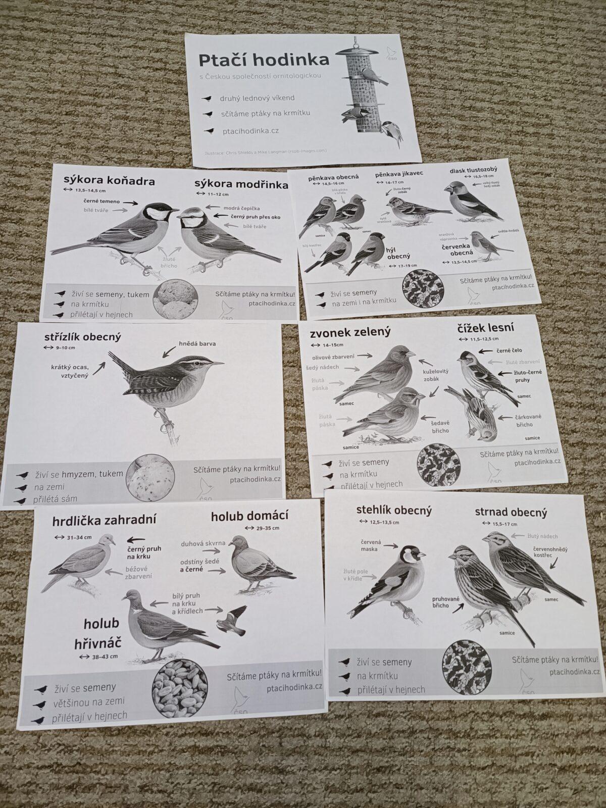 TLAPKY - výprava  LEDEN - 23