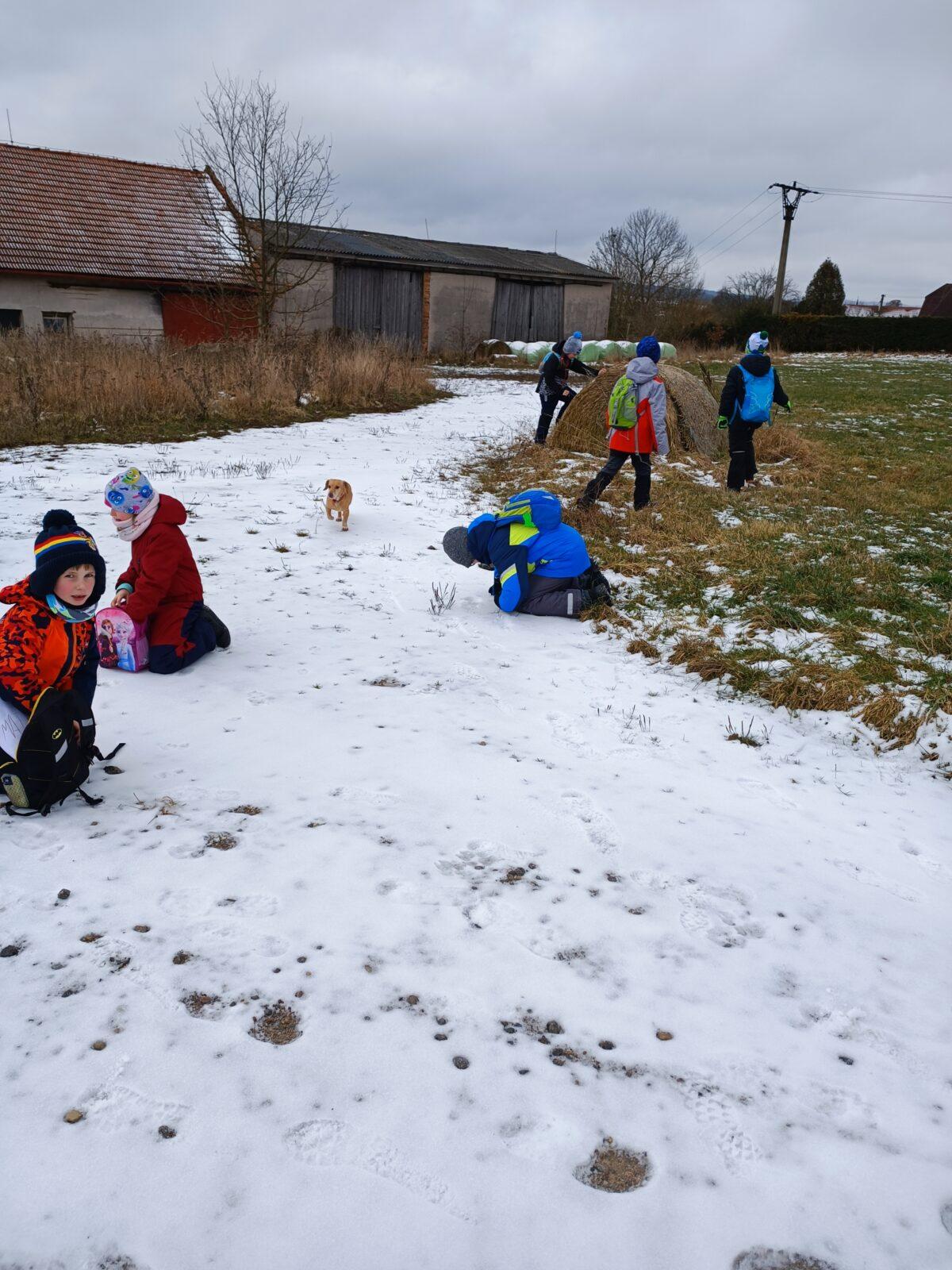 TLAPKY - výprava  LEDEN - 36
