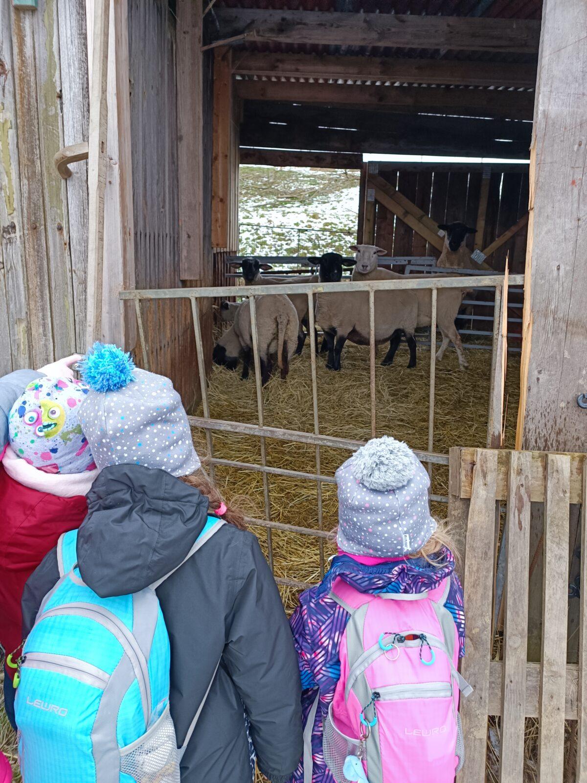 TLAPKY - výprava  LEDEN - 46