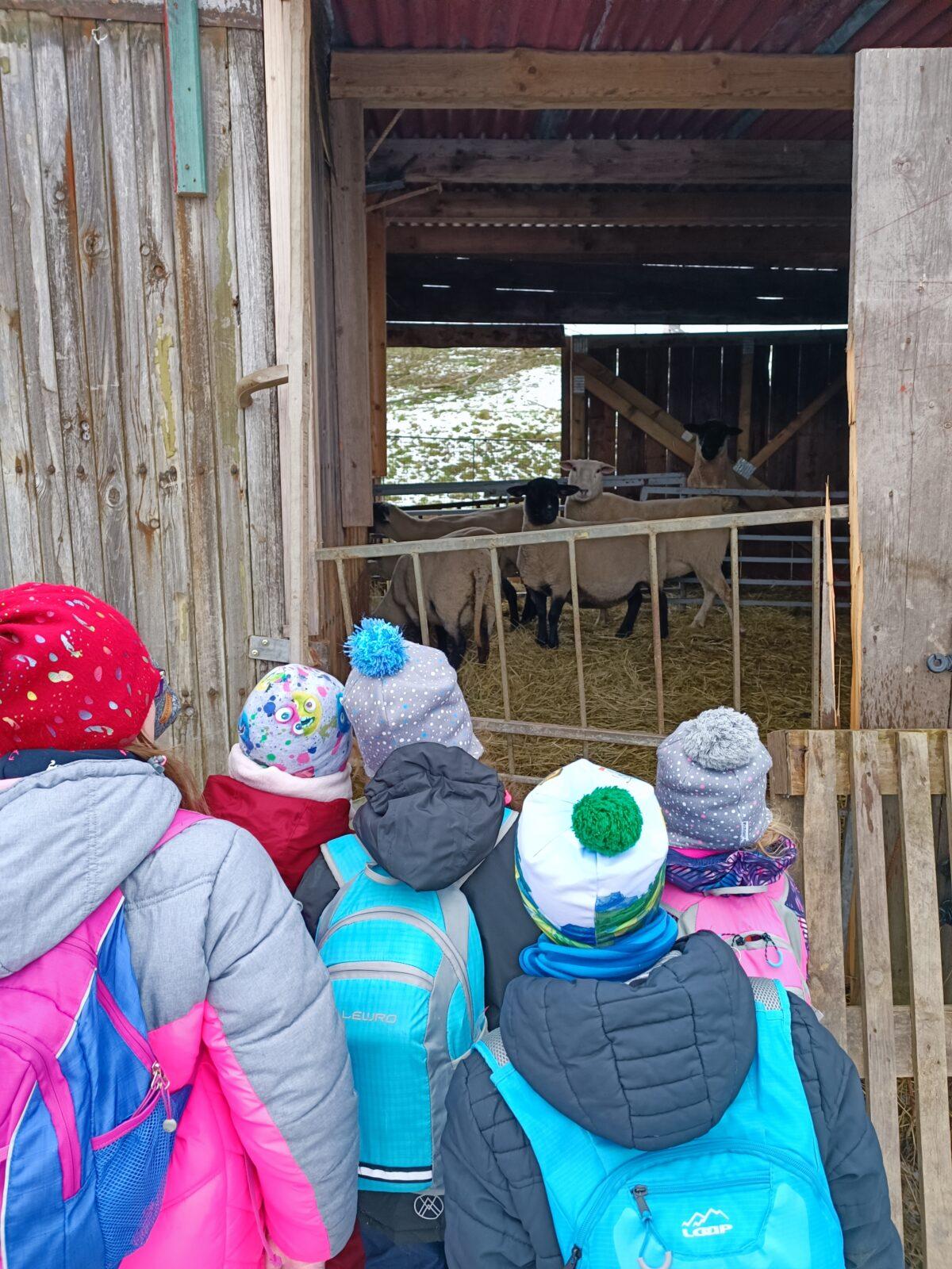 TLAPKY - výprava  LEDEN - 47