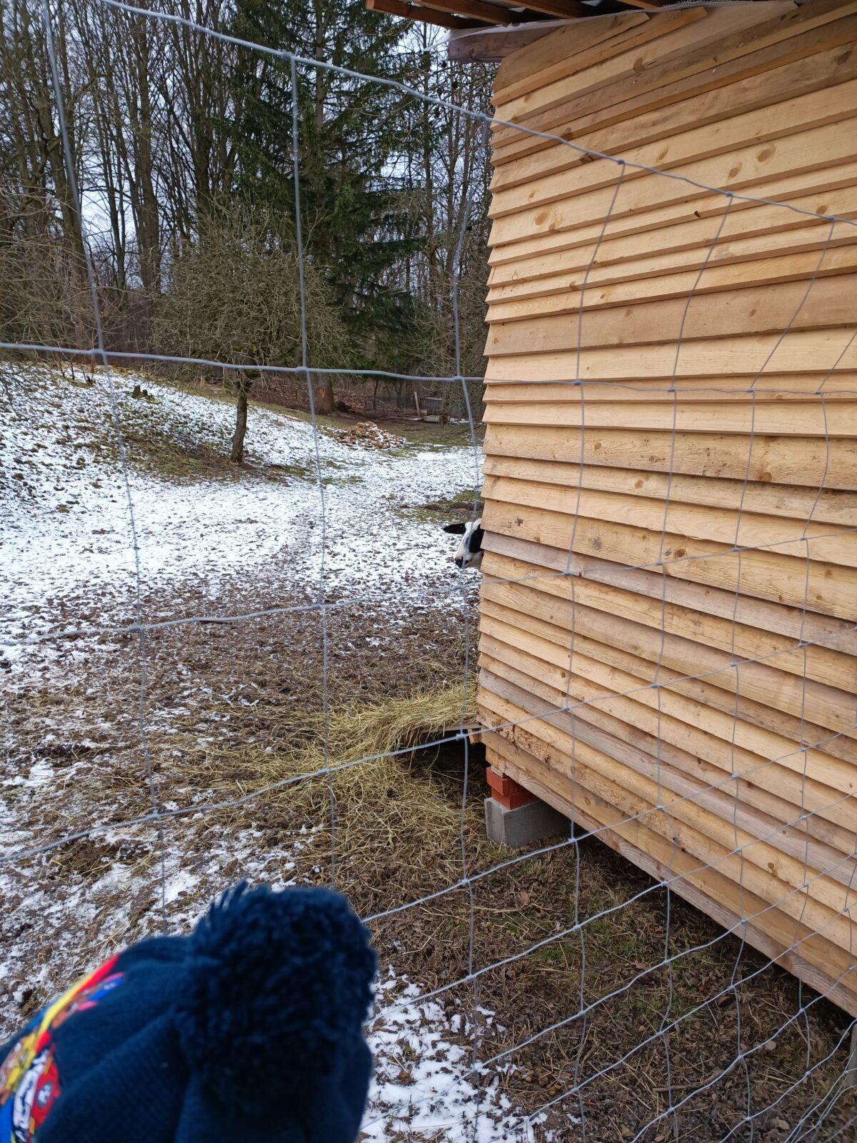 TLAPKY - výprava  LEDEN - 65