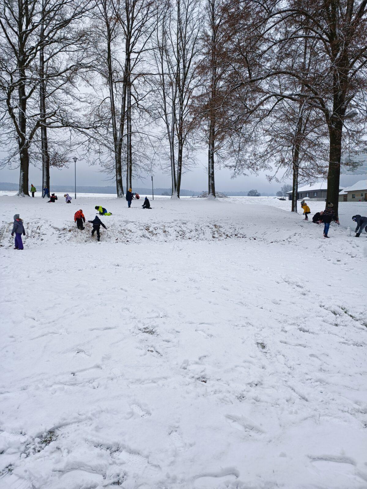 Leden - Únor - 2. oddělení - 36