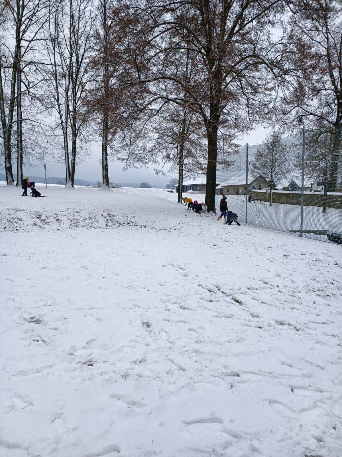 Leden - Únor - 2. oddělení - 37