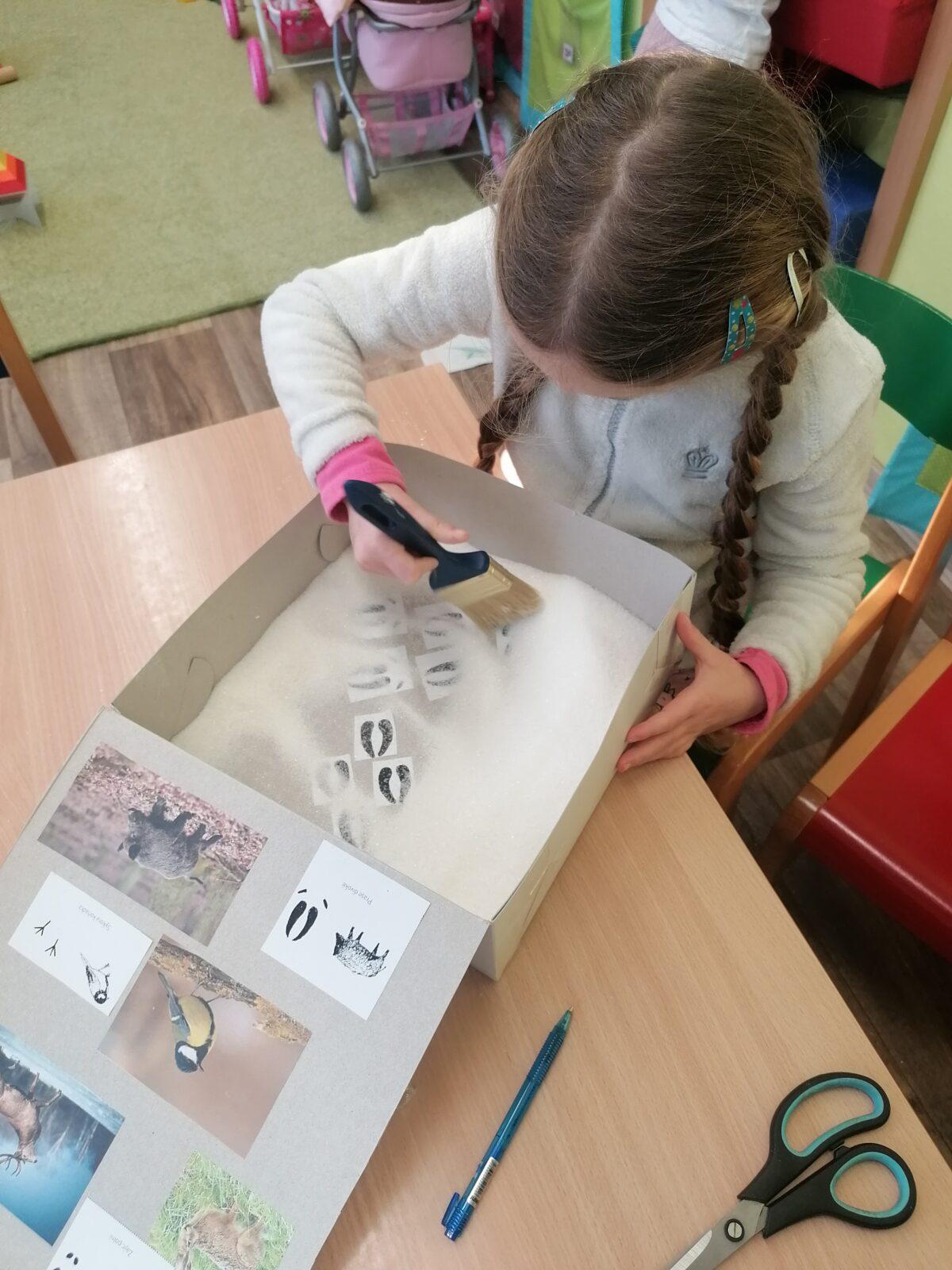 "Poznáváme zvířátka podle stop" :-) - 12