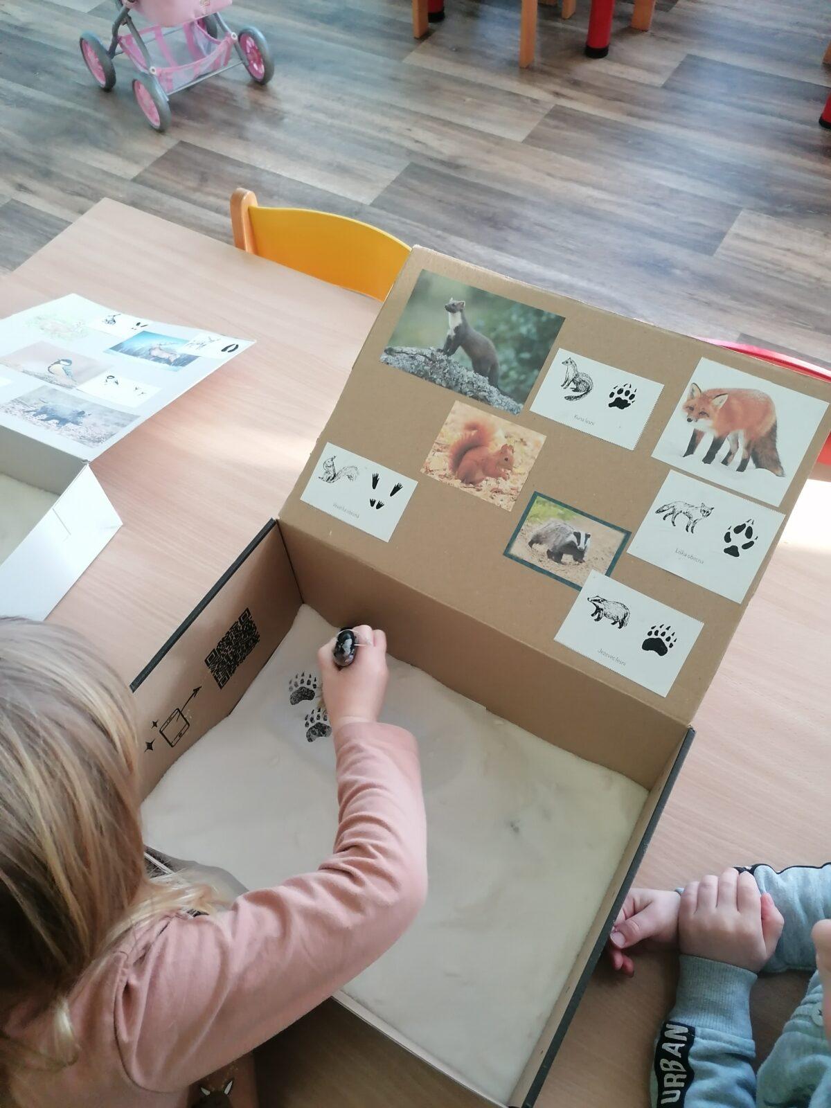 "Poznáváme zvířátka podle stop" :-) - 18