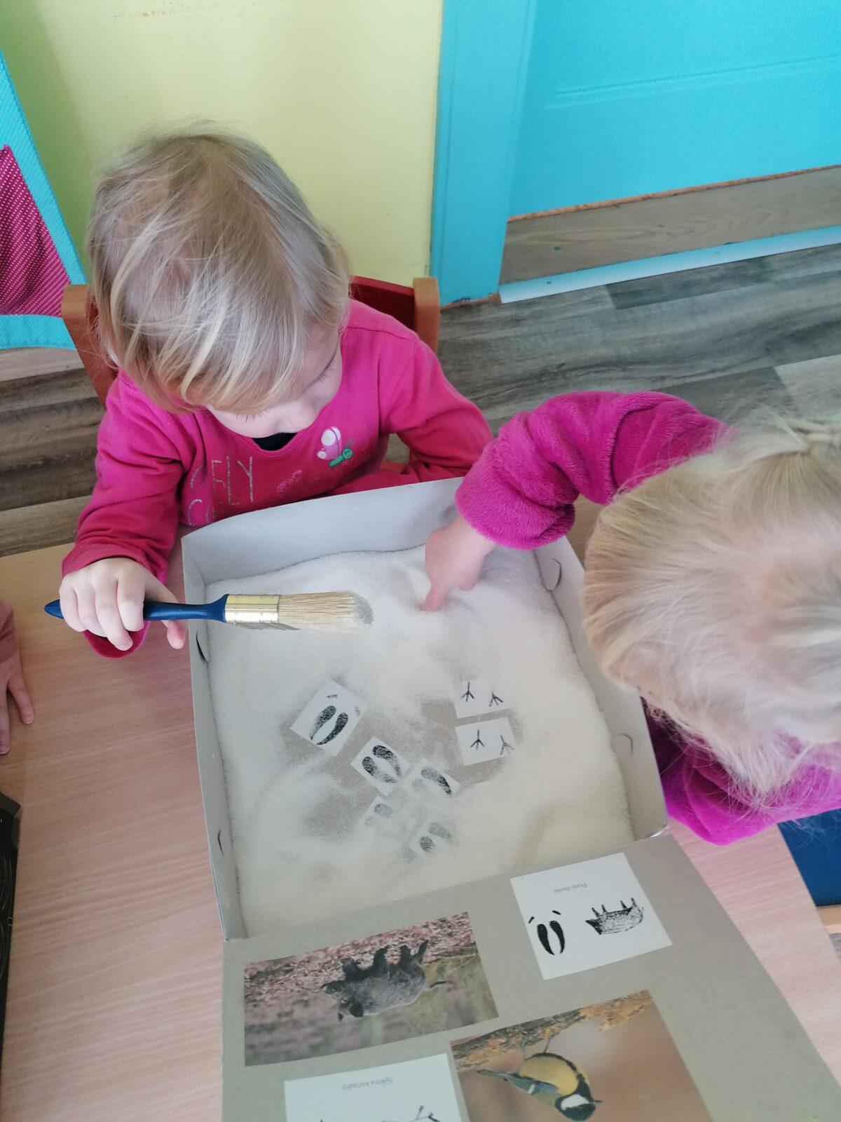 "Poznáváme zvířátka podle stop" :-) - 21