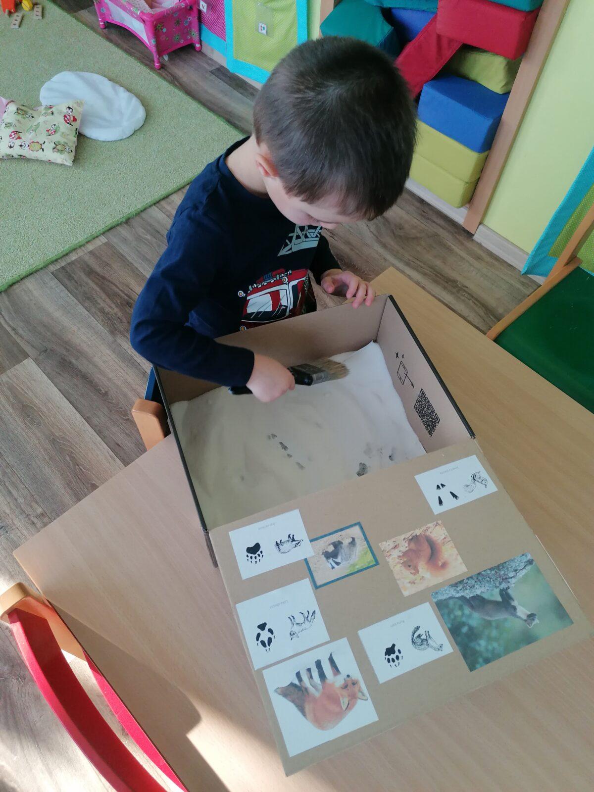 "Poznáváme zvířátka podle stop" :-) - 26