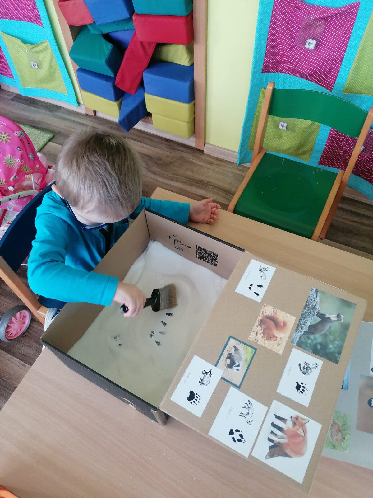 "Poznáváme zvířátka podle stop" :-) - 28