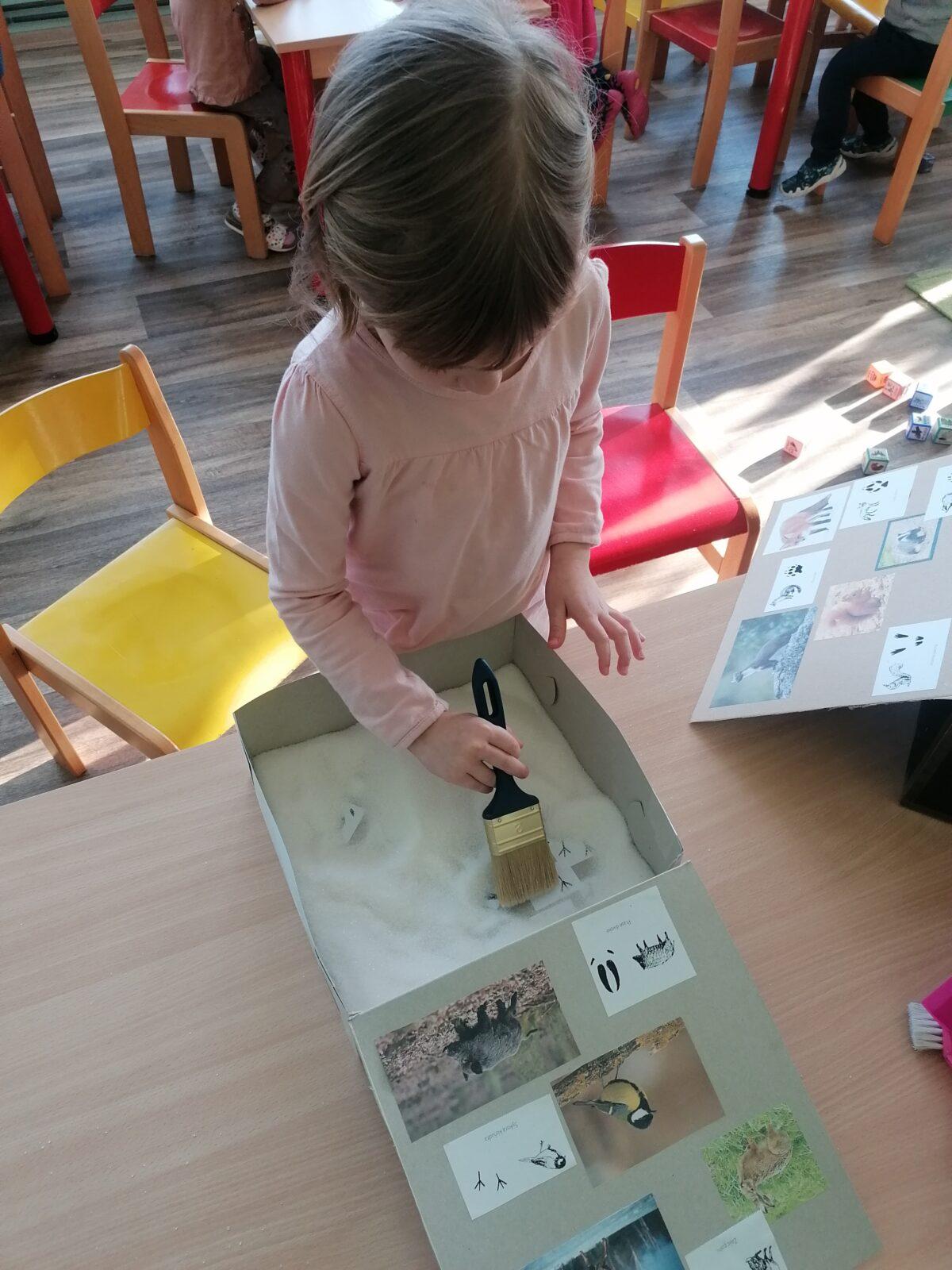 "Poznáváme zvířátka podle stop" :-) - 34