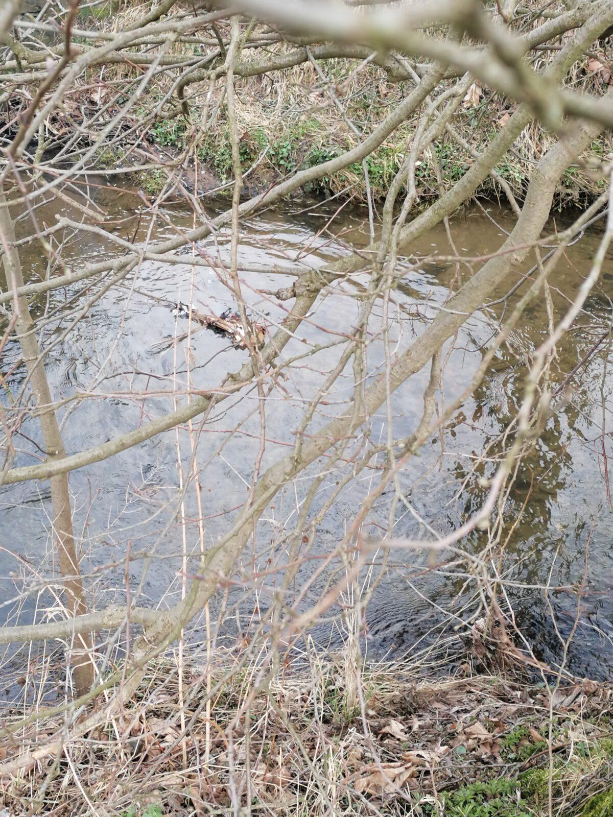 Vynášení Morany :-) - 53