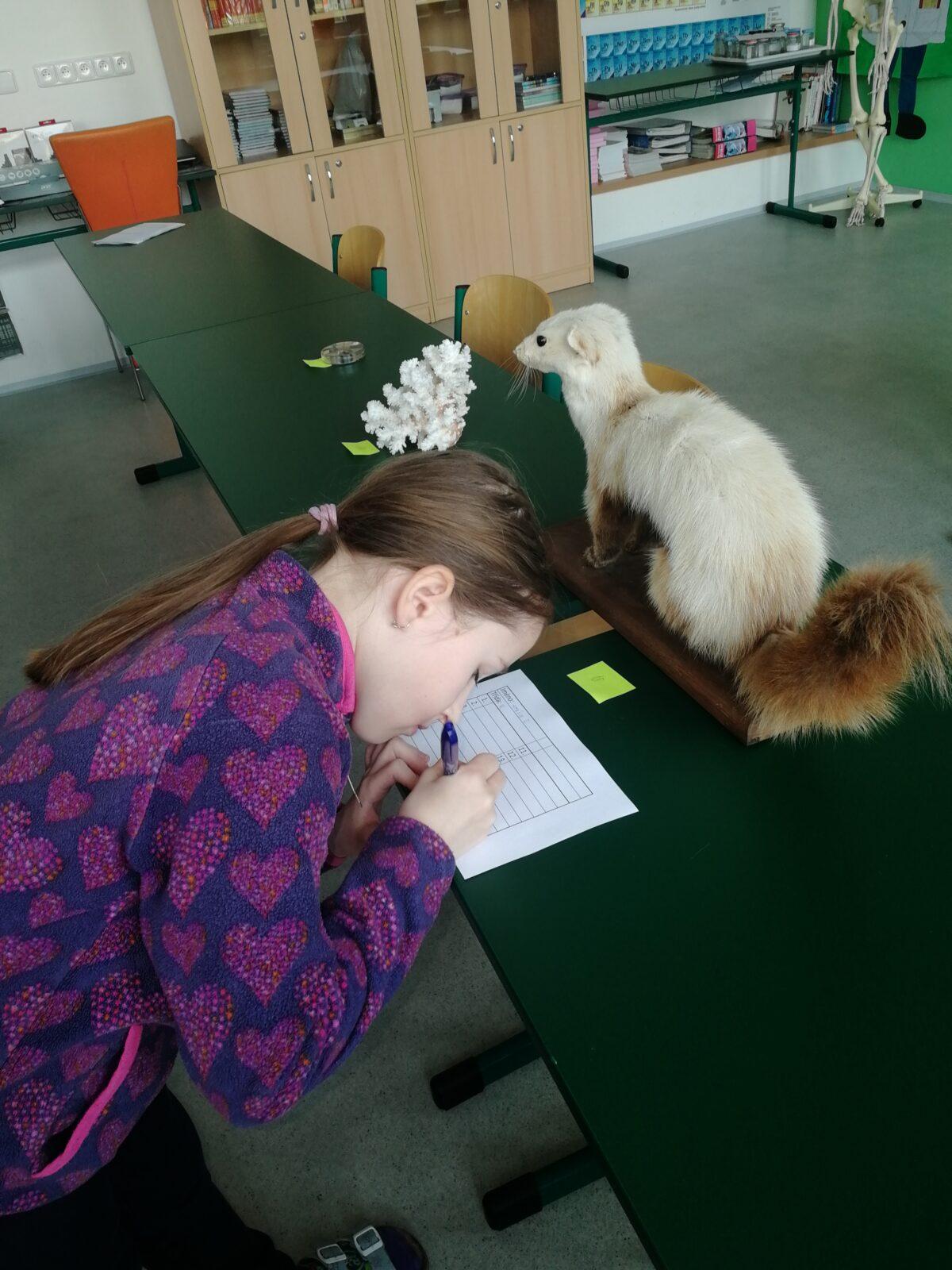 Školní kolo v Poznávání přírodnin a minerálů - 3