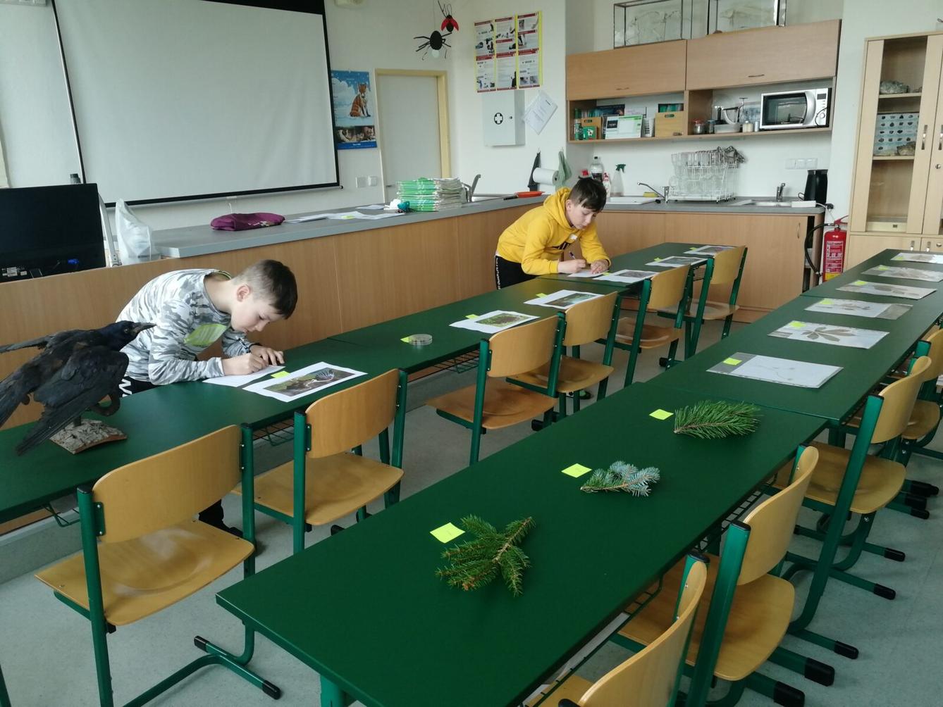 Školní kolo v Poznávání přírodnin a minerálů - 4