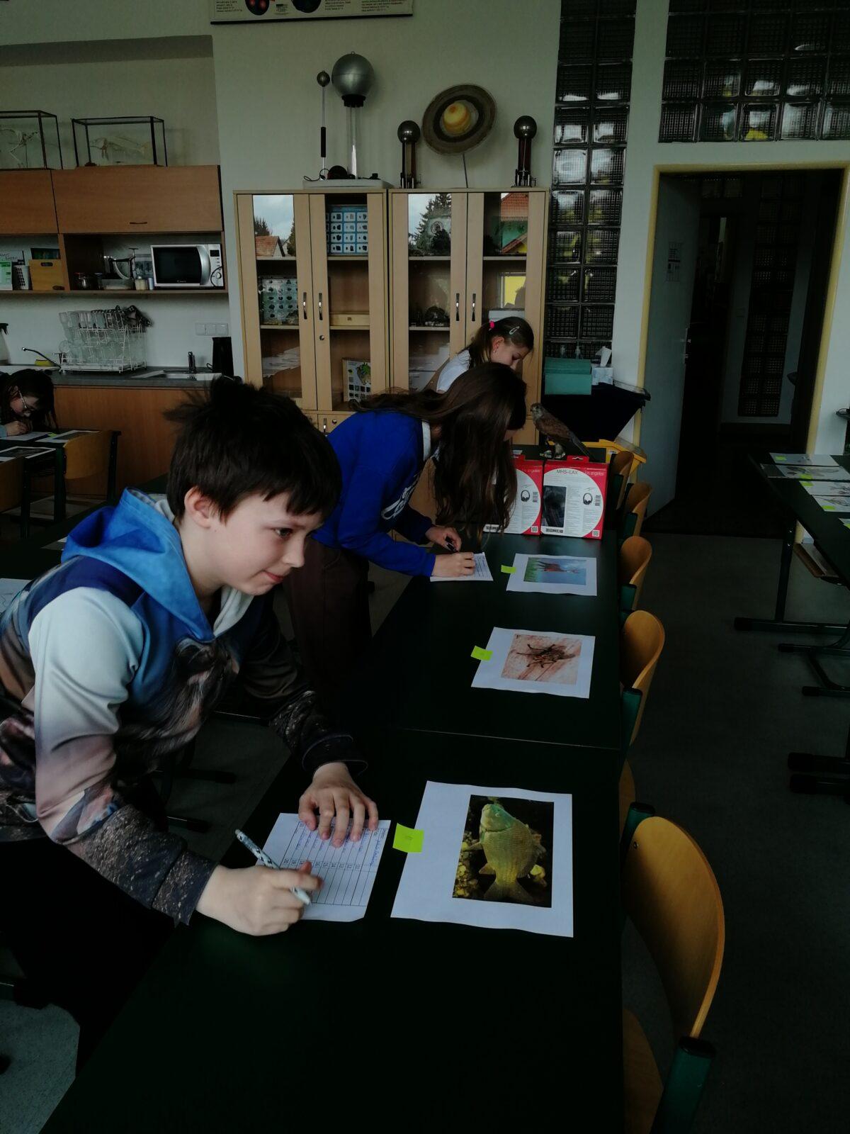 Školní kolo v Poznávání přírodnin a minerálů - 7
