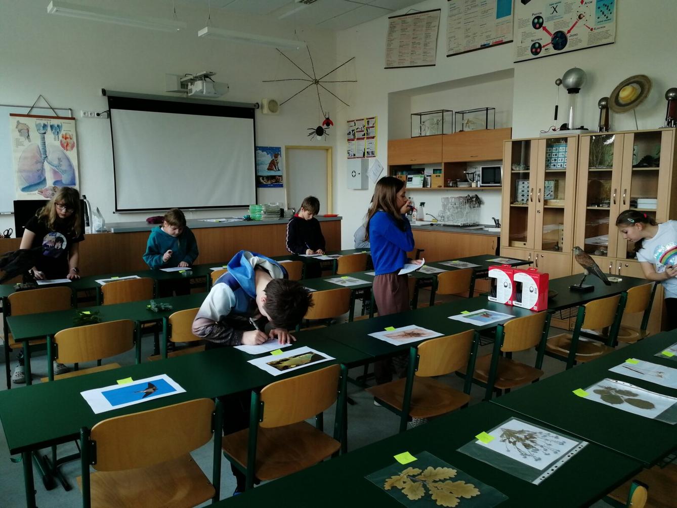 Školní kolo v Poznávání přírodnin a minerálů - 8