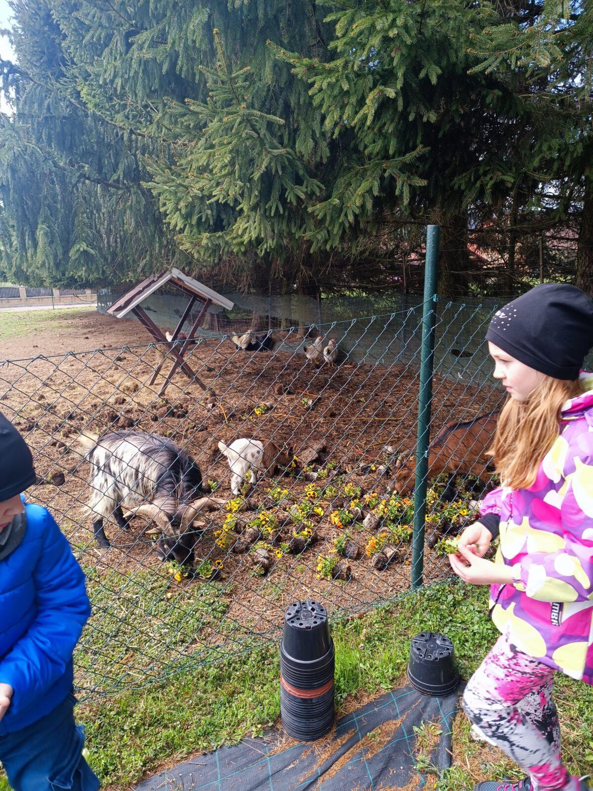 II. oddělení školní družina - duben,březen - 21