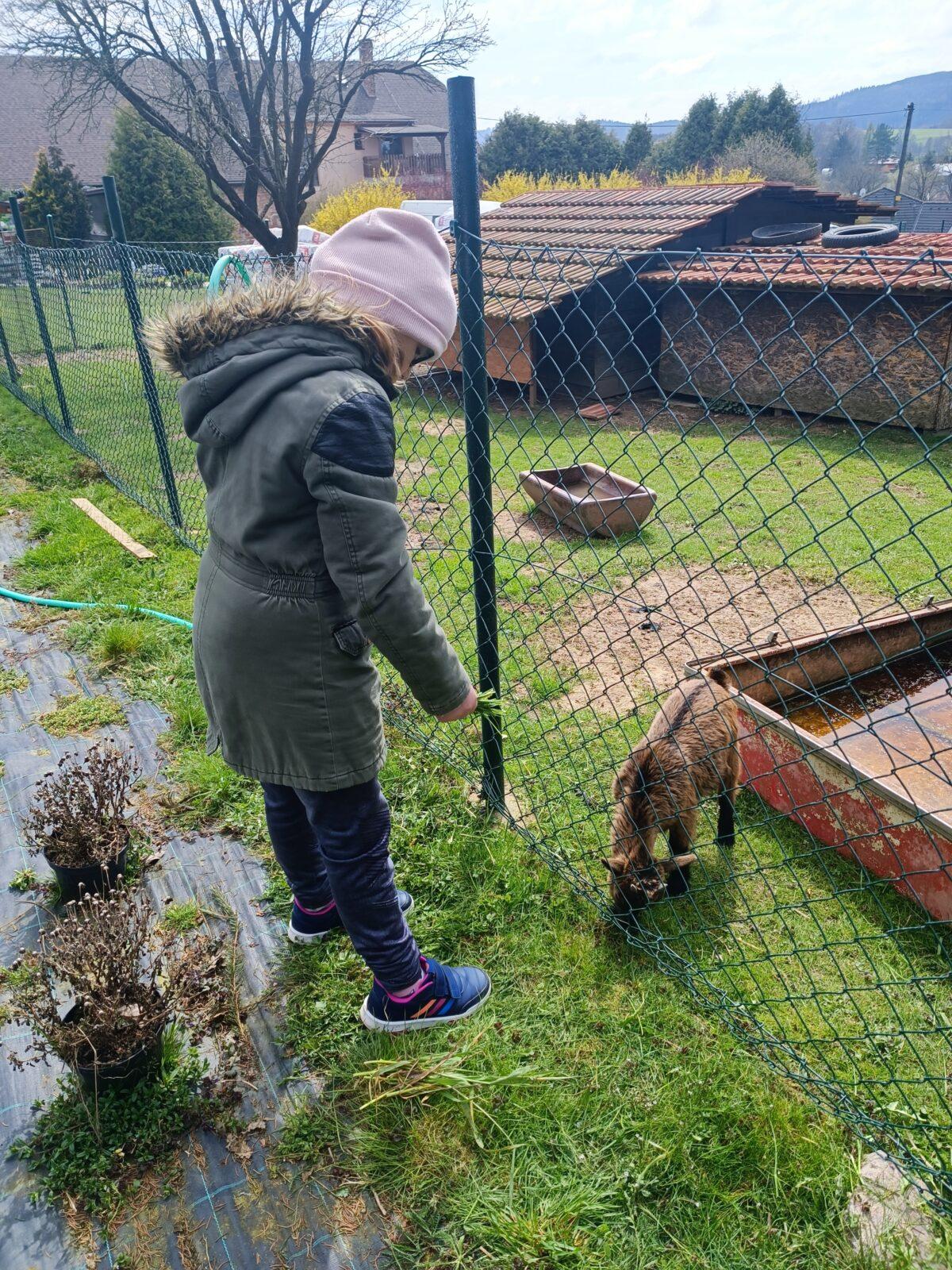 II. oddělení školní družina - duben,březen - 26