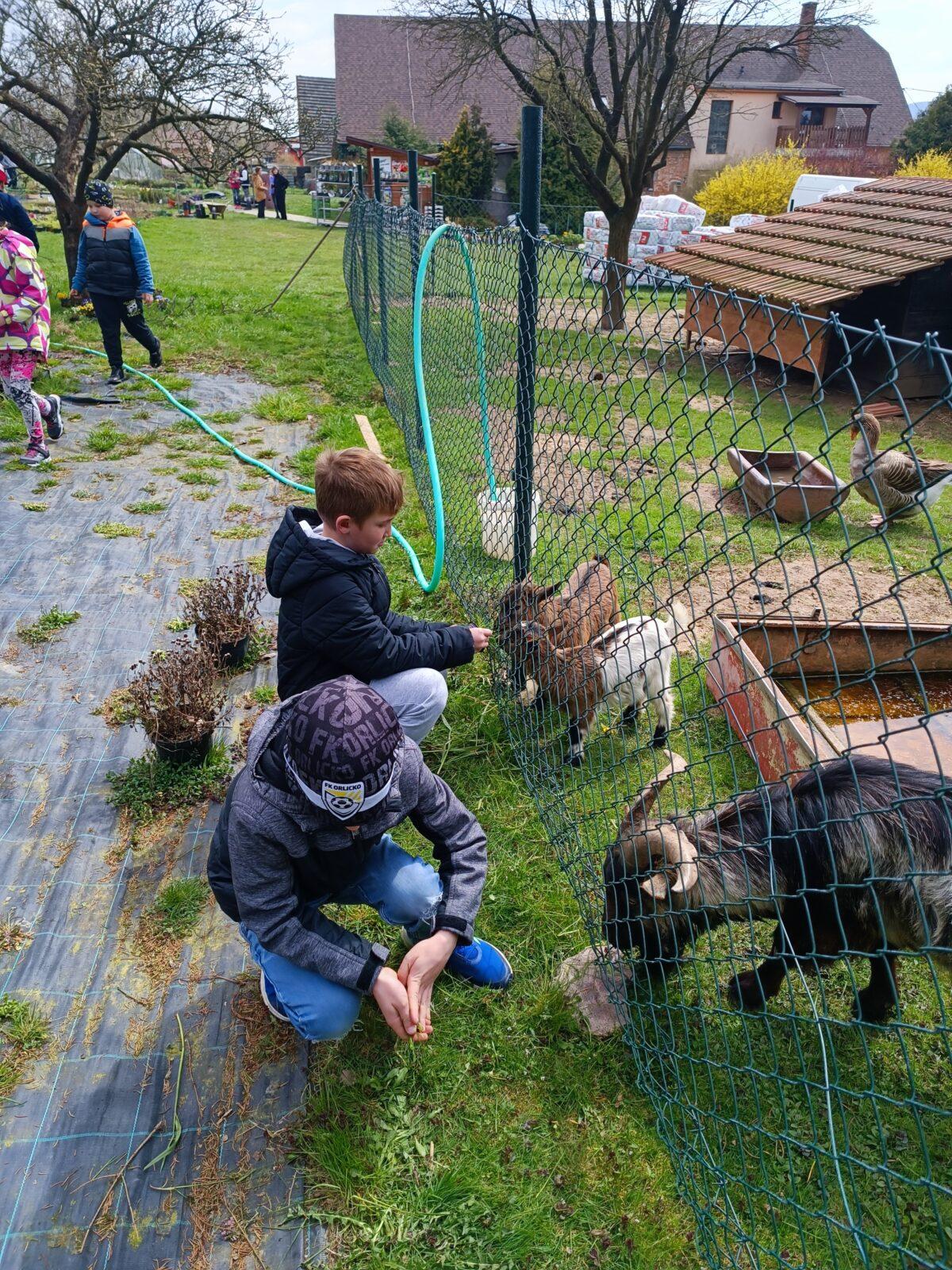 II. oddělení školní družina - duben,březen - 33