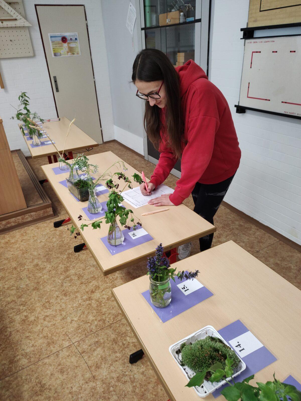 Poznávání přírodnin a minerálů - II. st. - 1