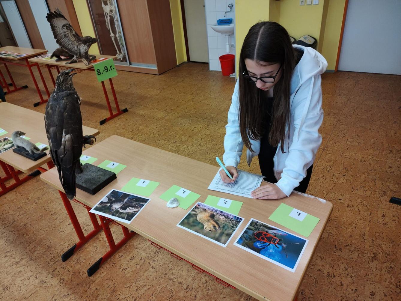 Poznávání přírodnin a minerálů - II. st. - 3