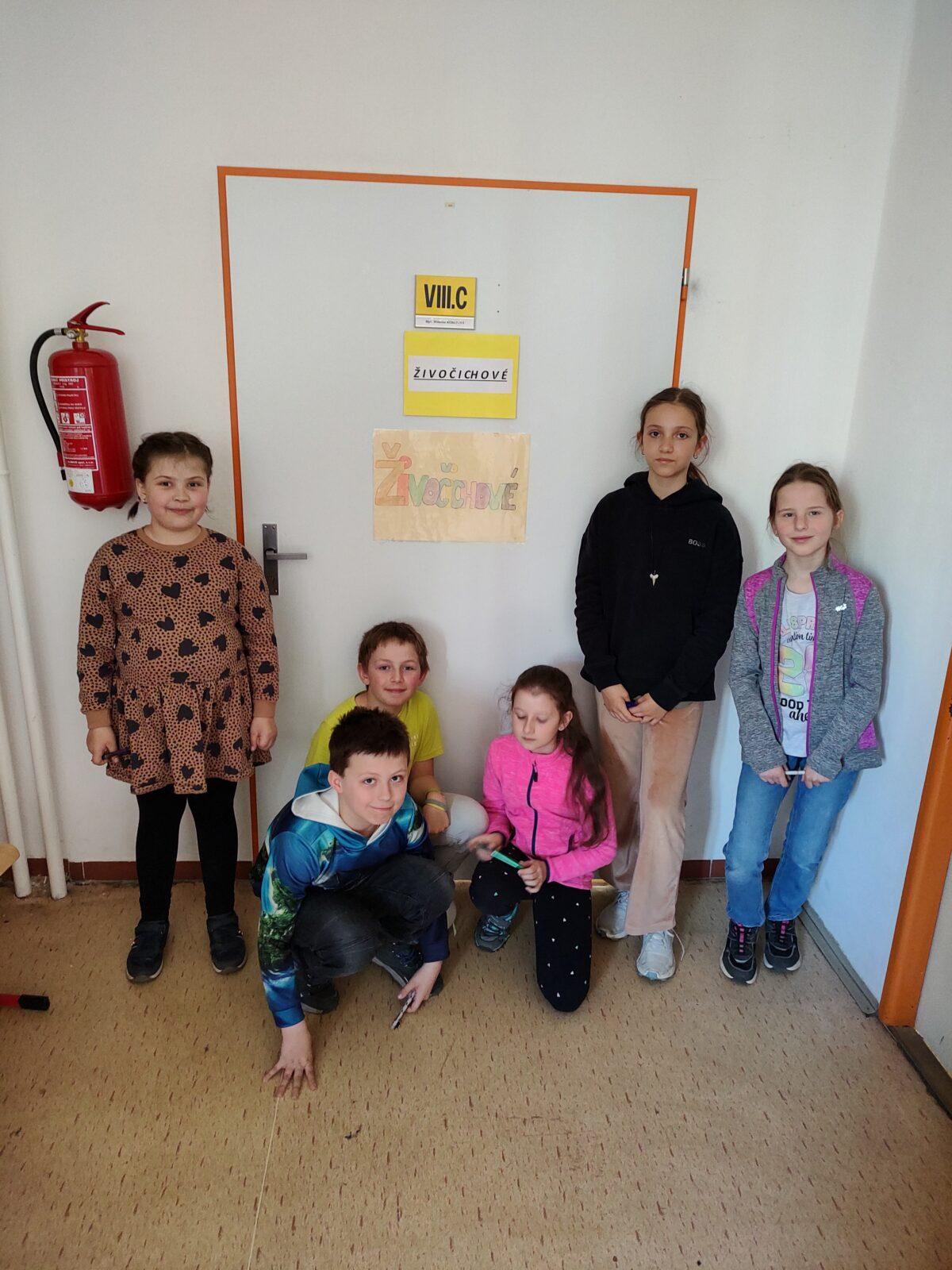 Poznávání přírodnin v ČT - I. stupeň - 1