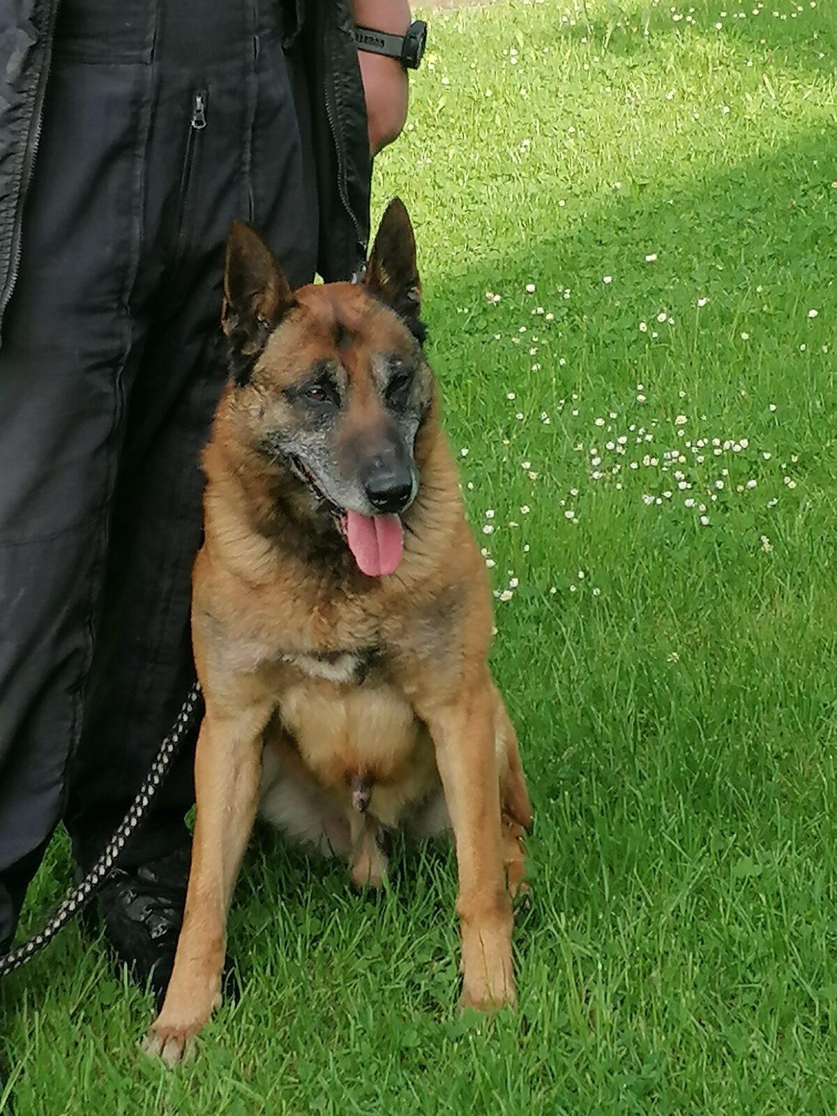 Policie ČR v naší školce :-) - 27