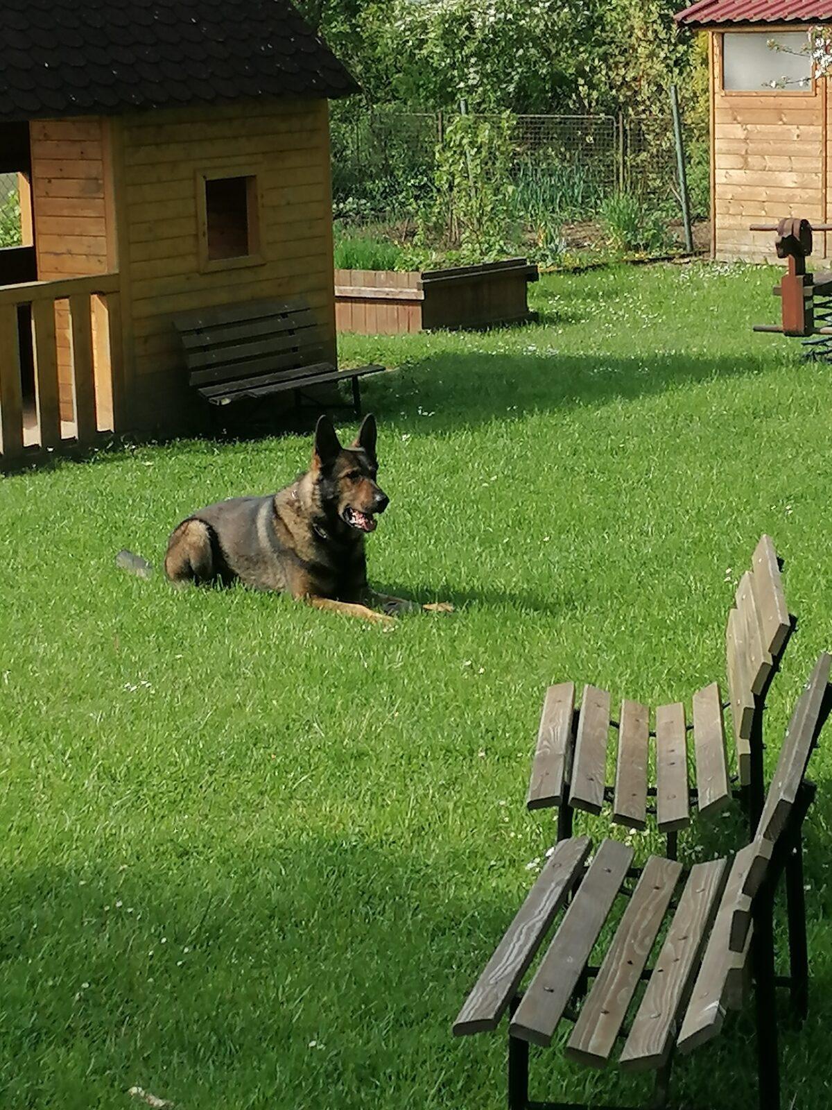 Policie ČR v naší školce :-) - 32