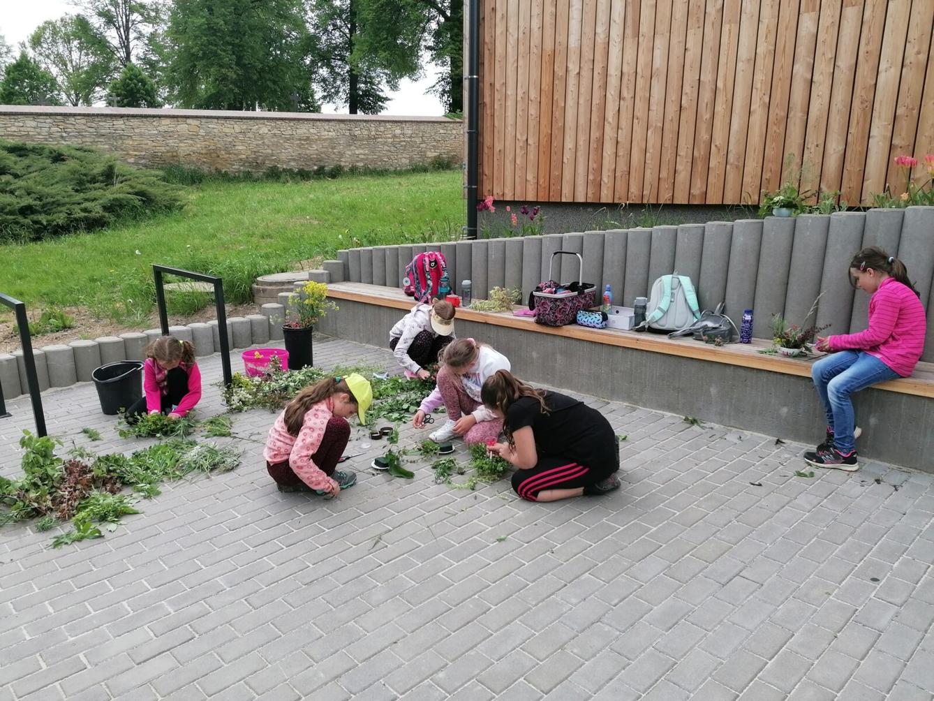 Aranžování živých květů - 1