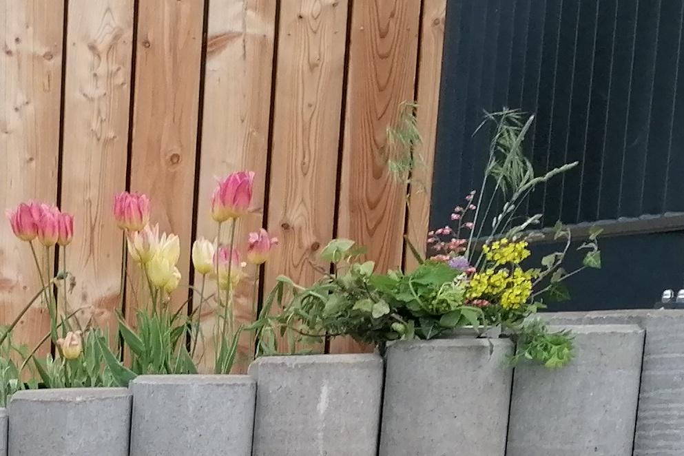 Aranžování živých květů - 10