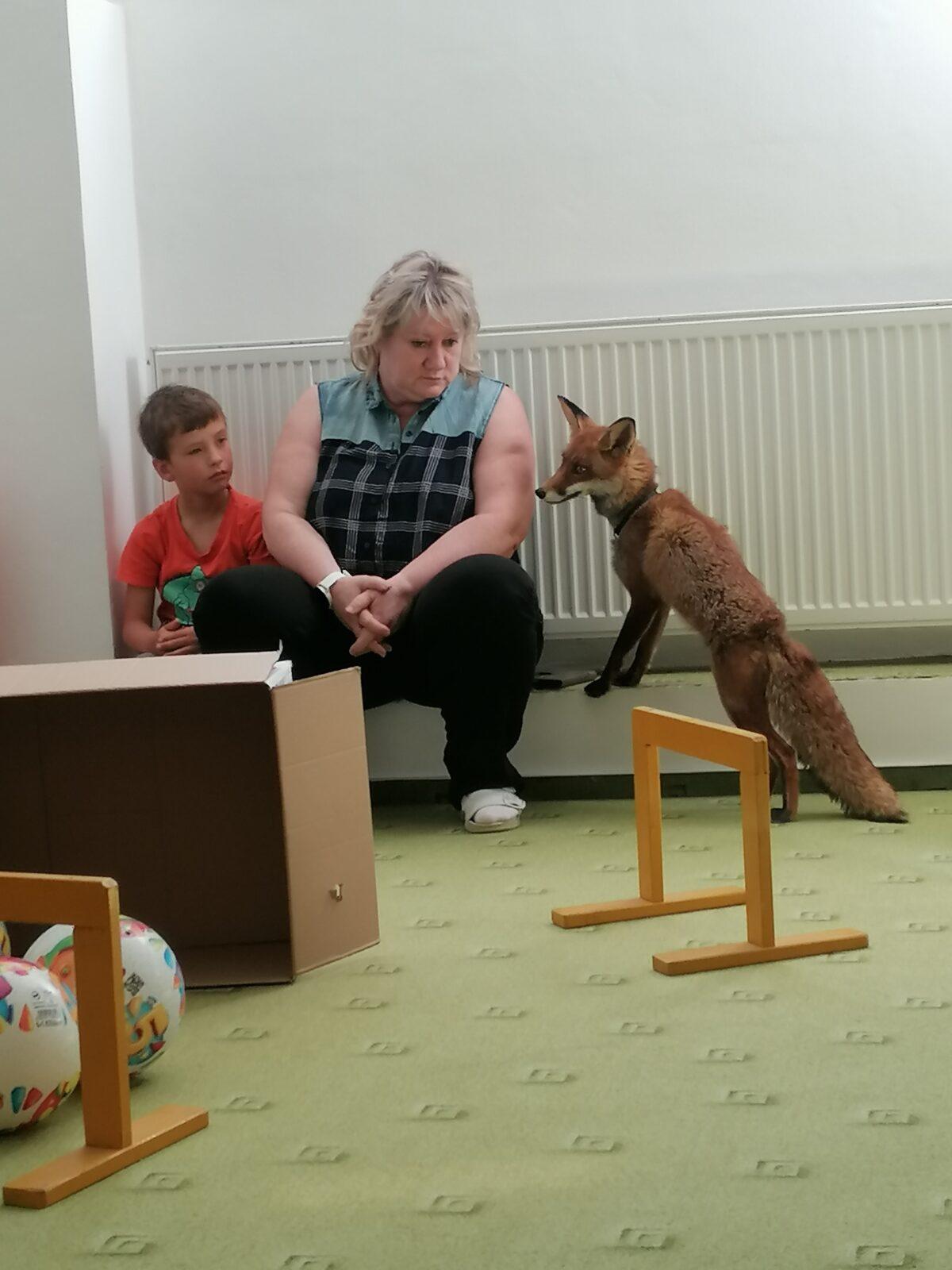 Liška COCO v MŠ :-) - 18