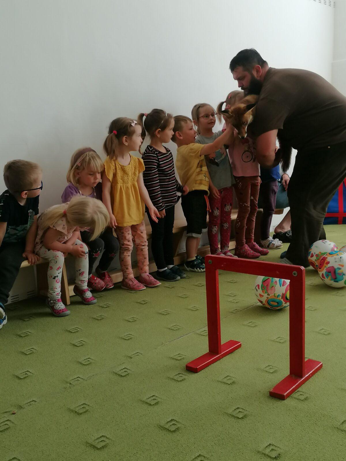 Liška COCO v MŠ :-) - 22