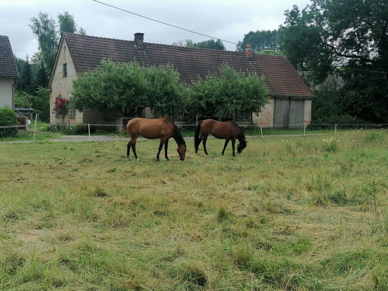 Broučci: vycházka za zvířátky :-) - 4