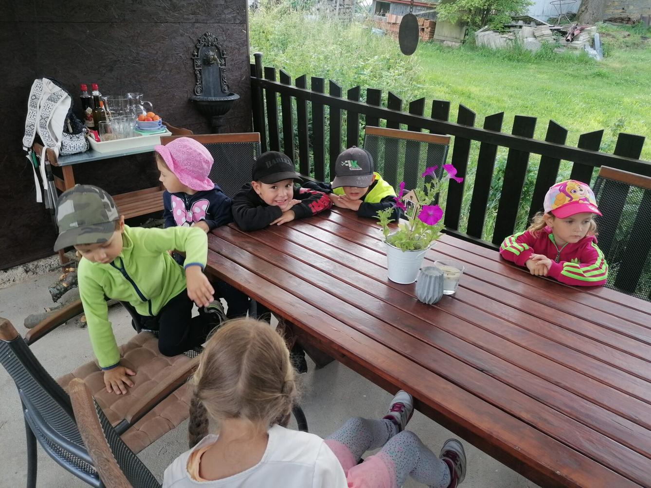 JDEME SE PODÍVAT NA PEJSKY :-) - 1