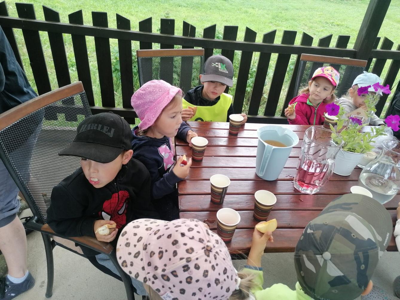 JDEME SE PODÍVAT NA PEJSKY :-) - 11