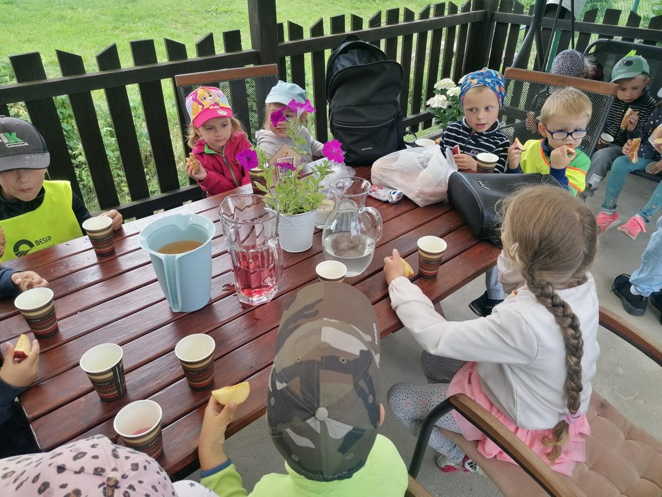 JDEME SE PODÍVAT NA PEJSKY :-) - 12