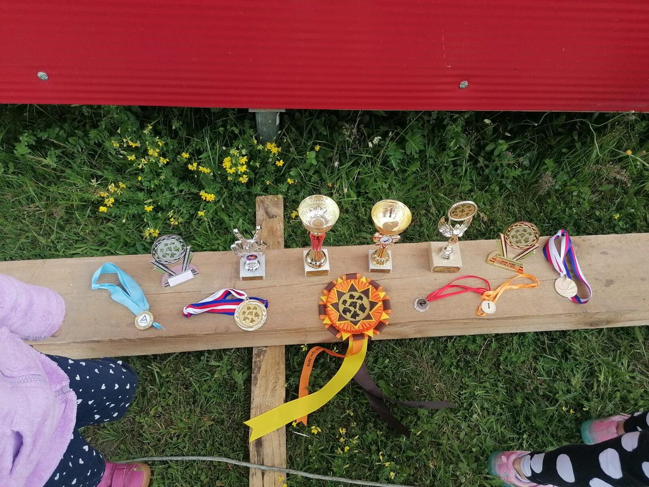 JDEME SE PODÍVAT NA PEJSKY :-) - 22