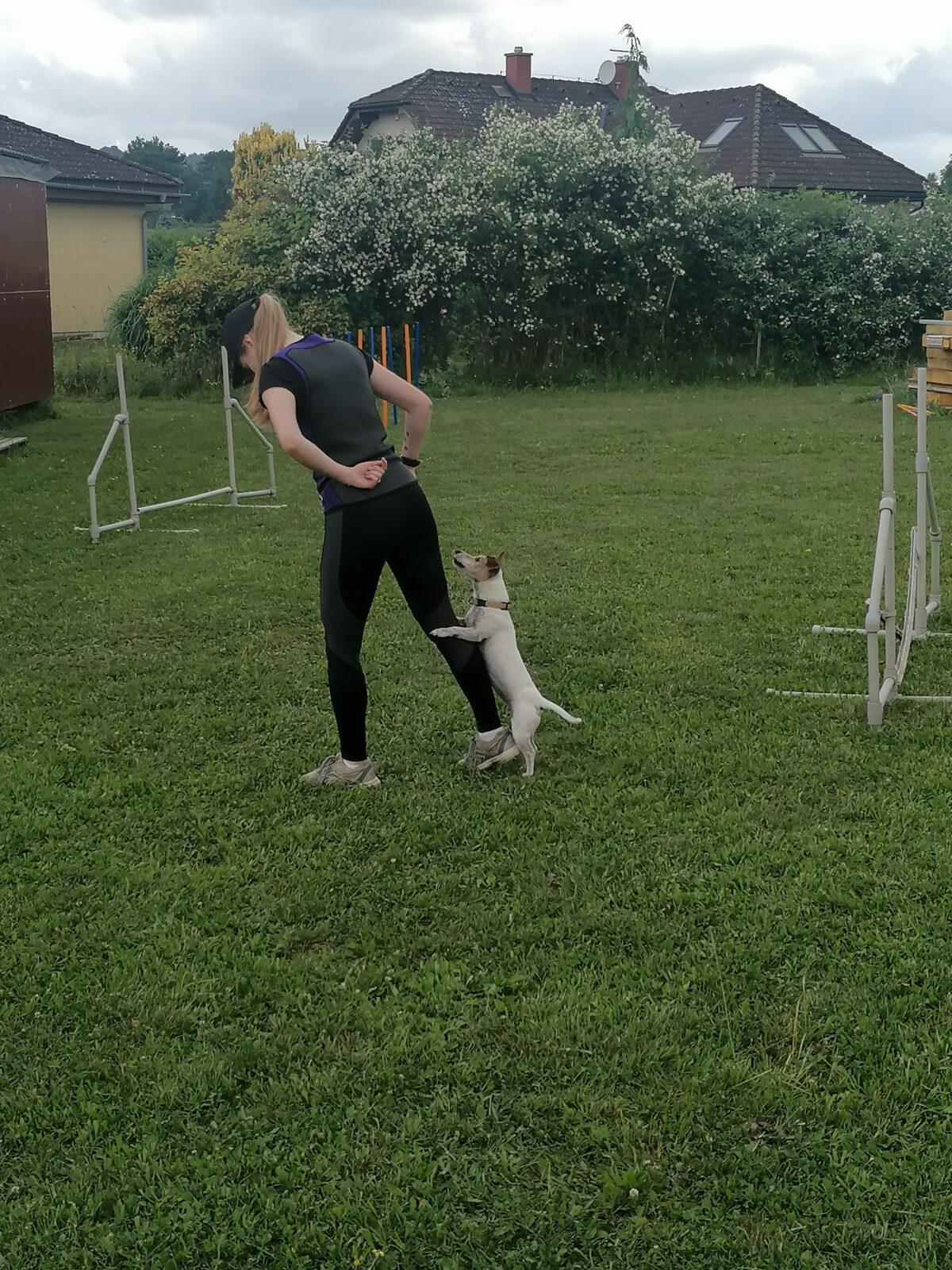 JDEME SE PODÍVAT NA PEJSKY :-) - 35