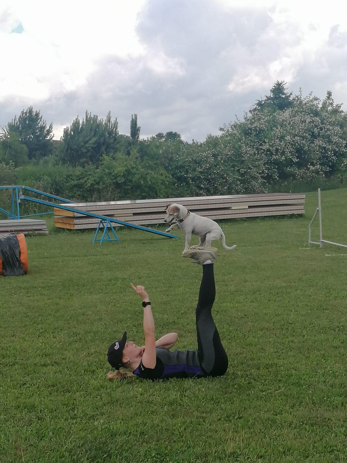 JDEME SE PODÍVAT NA PEJSKY :-) - 41