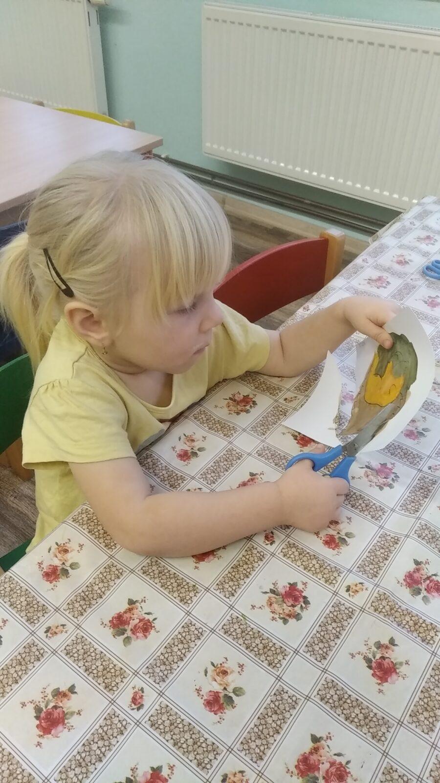 broučci: tvoření - zvířátka - 9