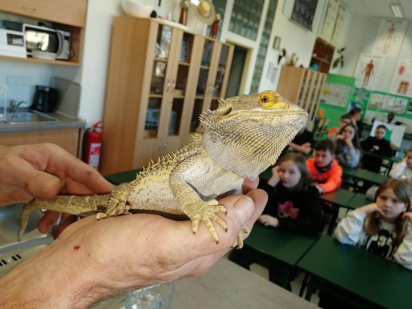 Exotická zvířata - přednáška - 1