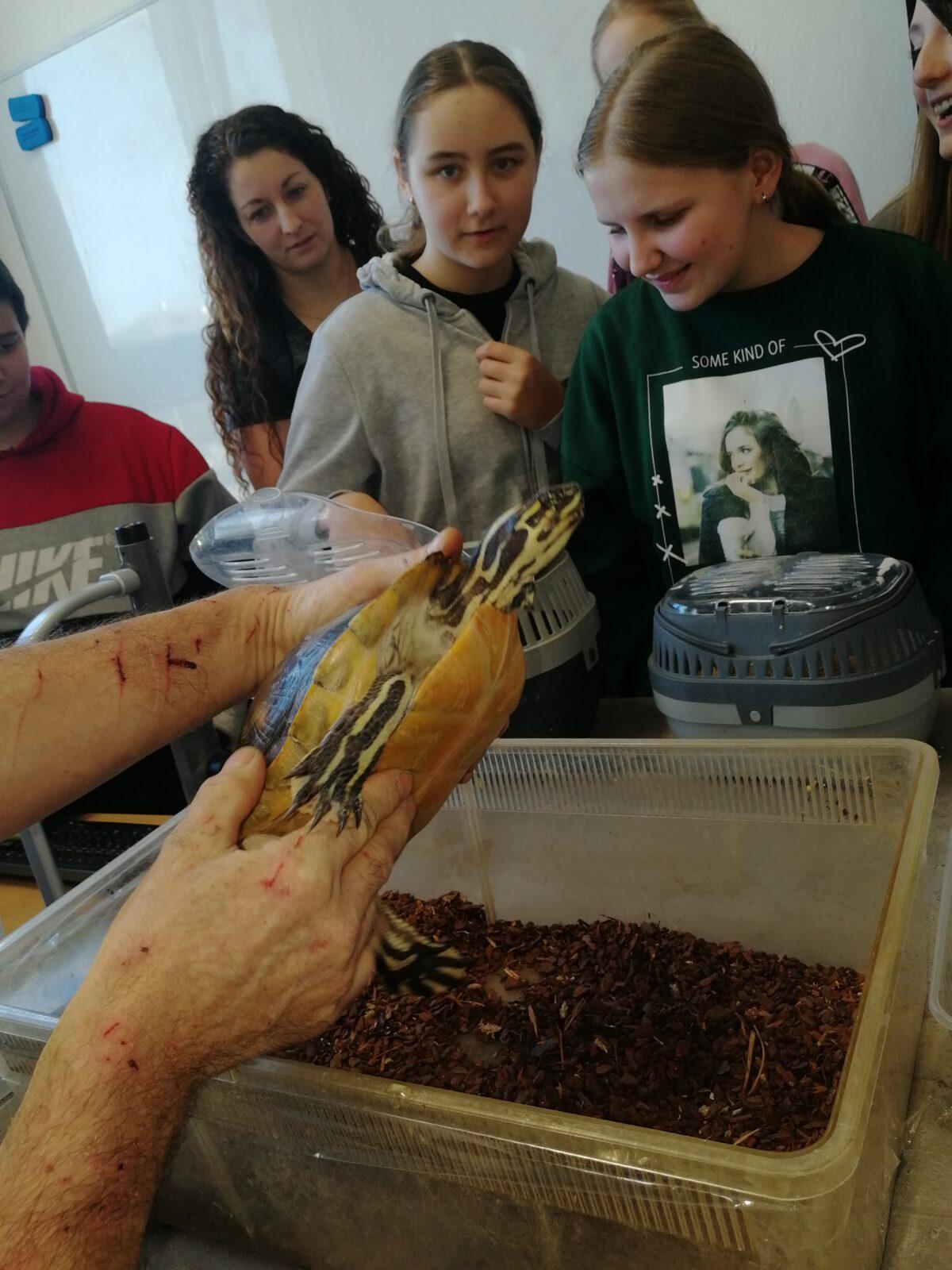 Exotická zvířata - přednáška - 18