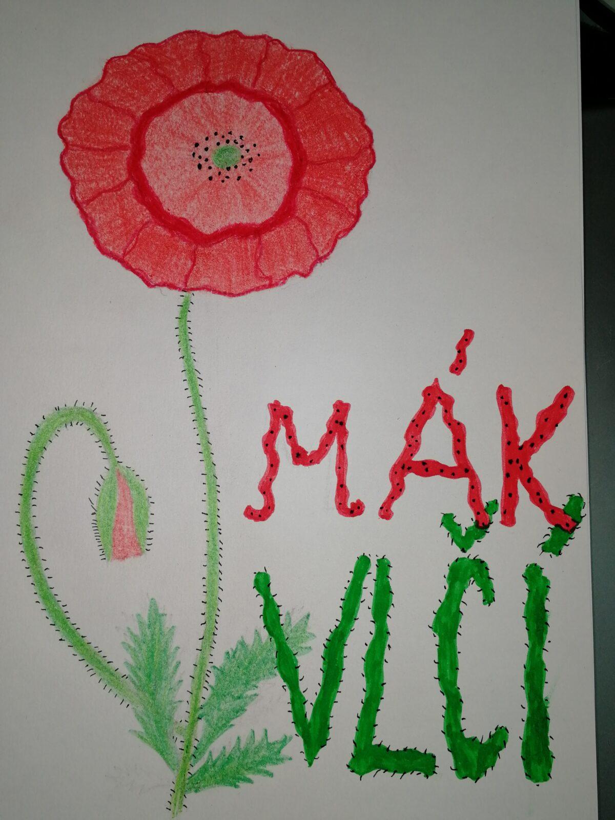 Léčivé byliny - žáci 7. třídy - 4