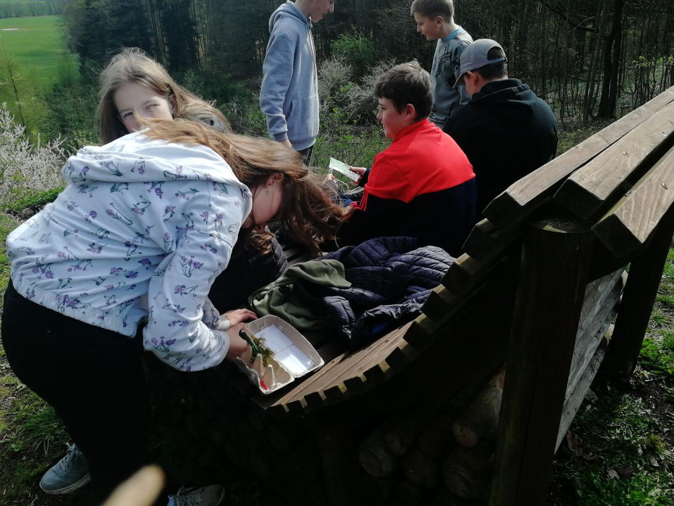 Poznávání mechorostů - 7.třída - 3