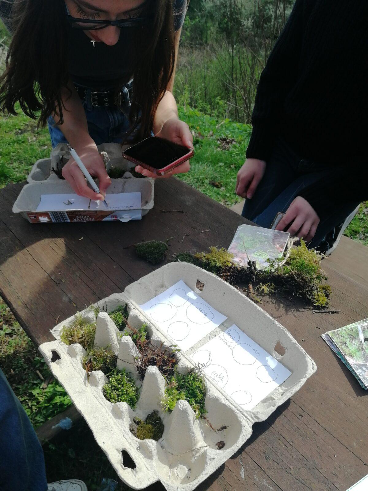 Poznávání mechorostů - 7.třída - 8