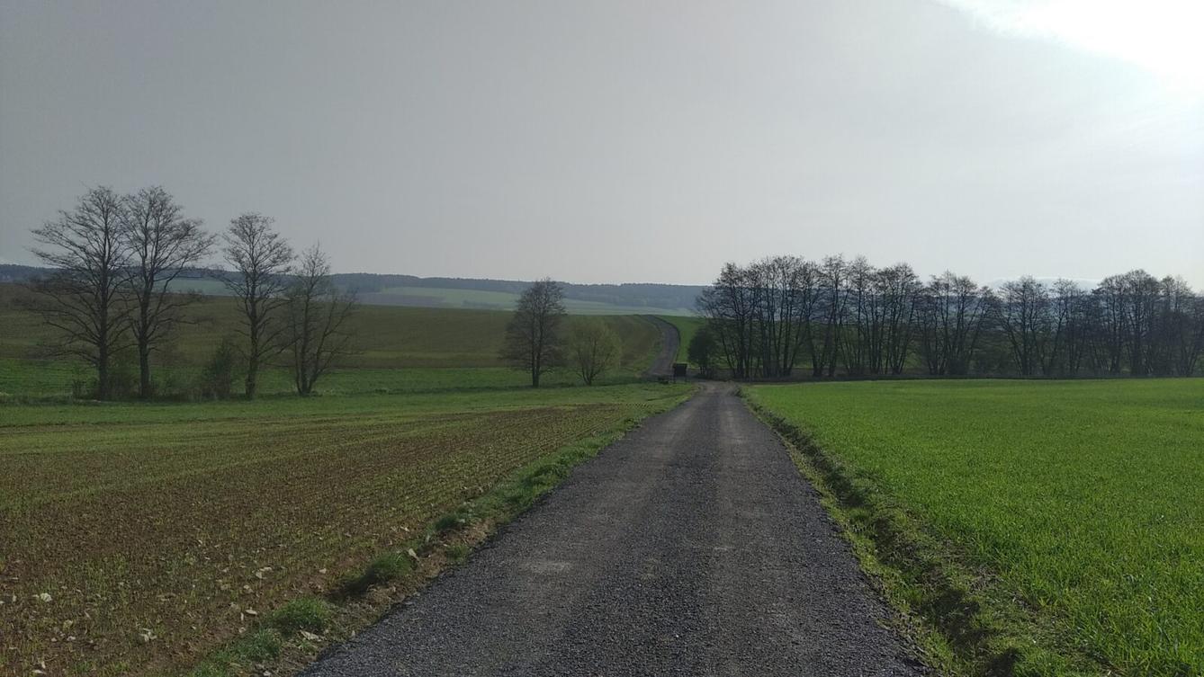 broučci: Co si brouká jarní louka... - 28