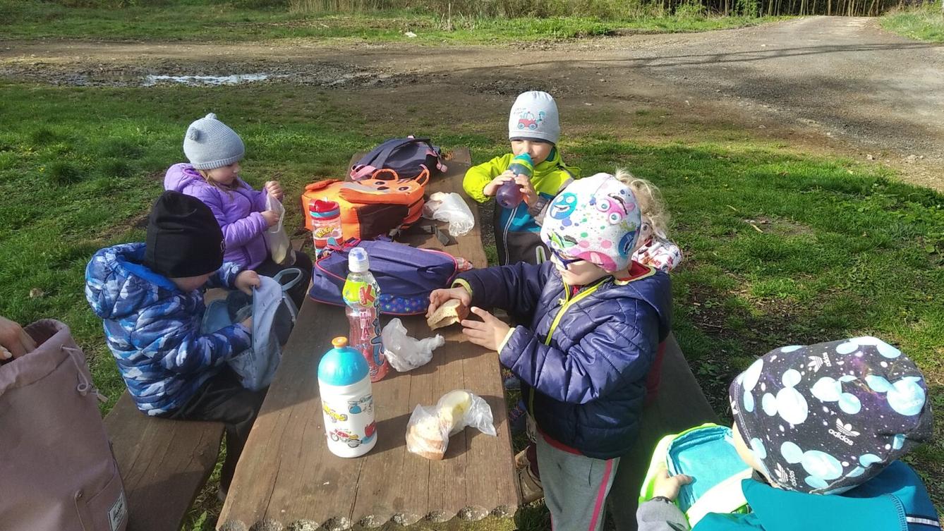 broučci: Co si brouká jarní louka... - 35