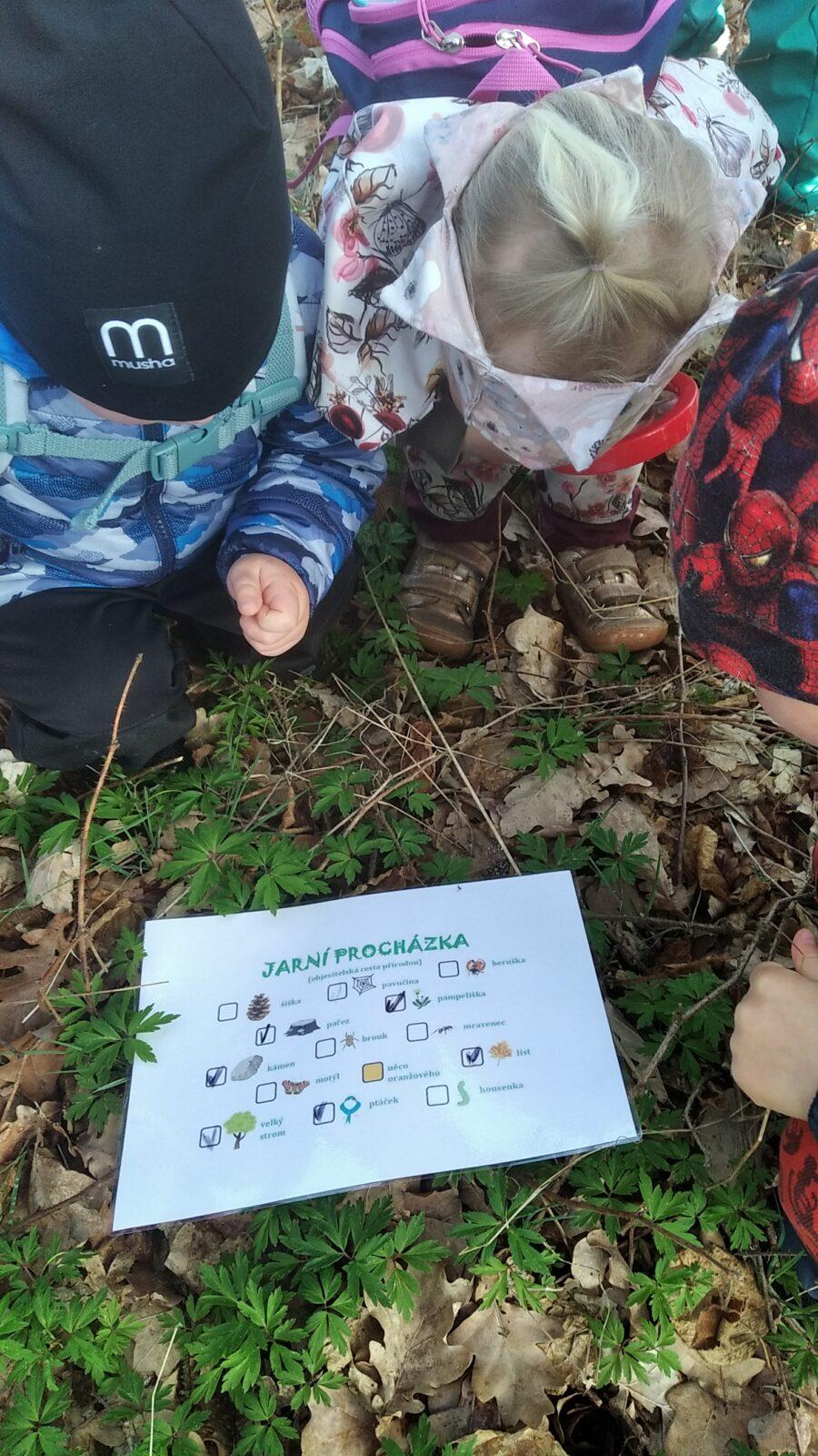 broučci: Co si brouká jarní louka... - 37