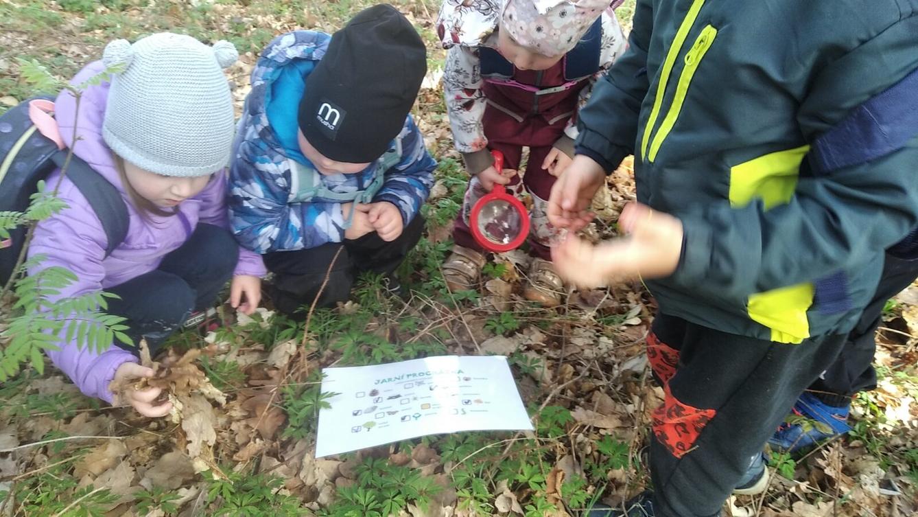 broučci: Co si brouká jarní louka... - 38